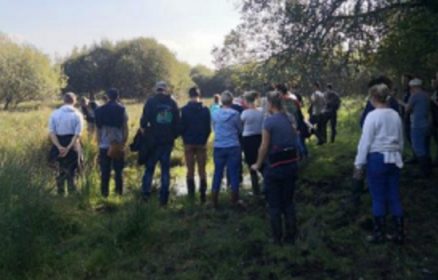 Essentielles Tourbières dans le Marais de Villiers – Saint-Josse