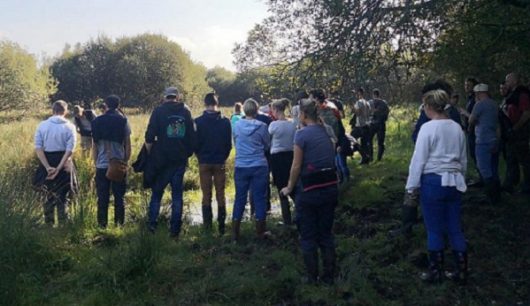 marais-du-villiers-biodiv-geodiv-c-lambert