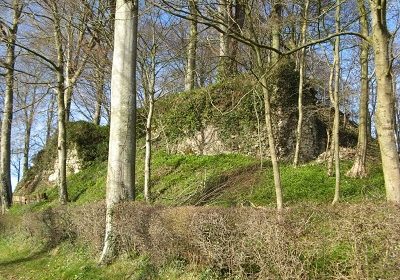 Ruines du Château